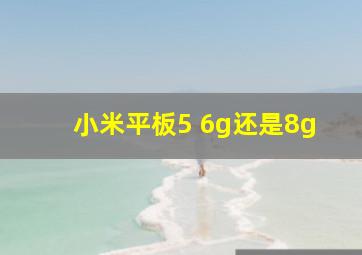 小米平板5 6g还是8g